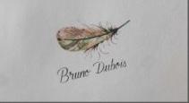 Bruno Dubois - Plume
